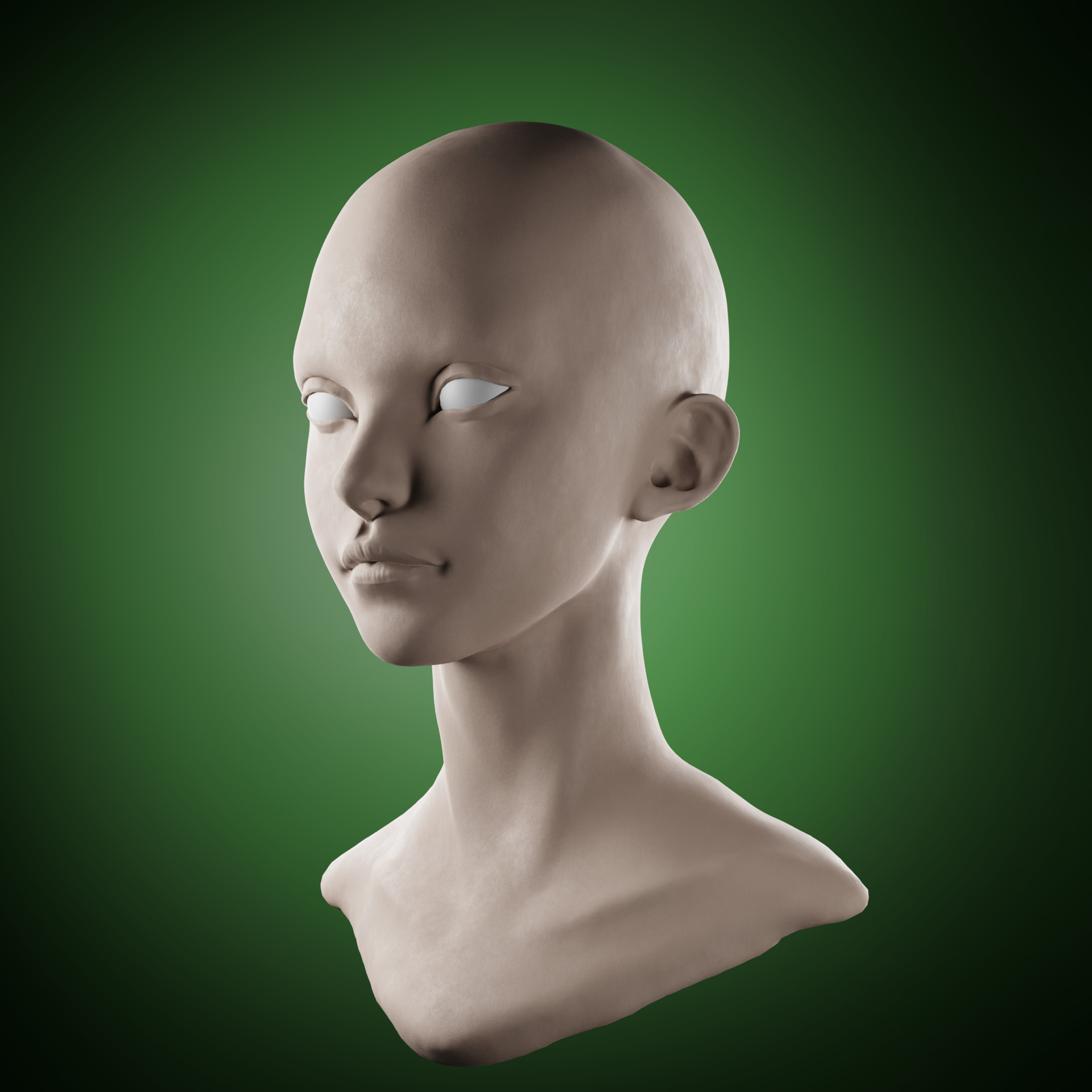Head Sculpt - Female  preview image 1